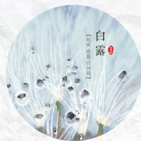 《梦幻情侣》影评100字