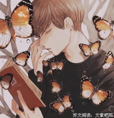 《装乖》读后感锦集