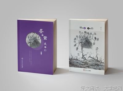 《昼的紫 夜的白》读后感锦集