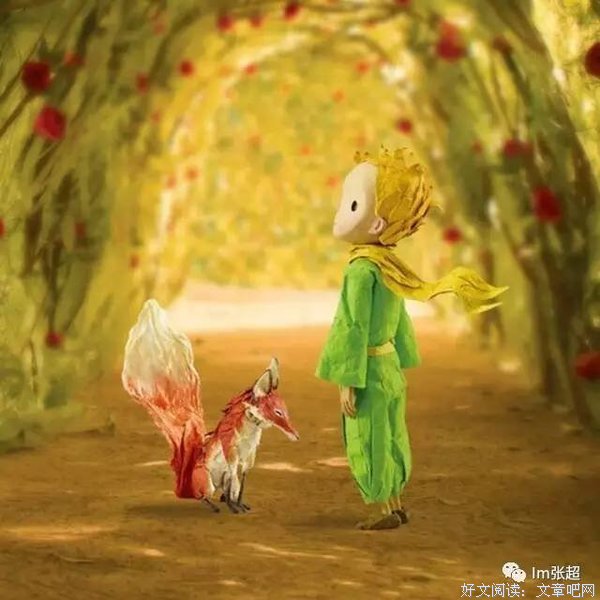 《小王子的領悟》经典读后感有感