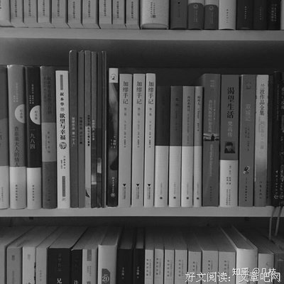 加缪手记：第二卷读后感摘抄