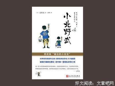小北野武读后感精选