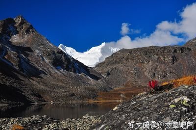 走进世界最美的家读后感100字