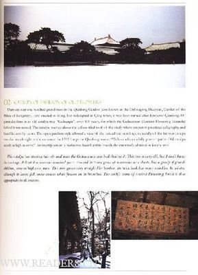 《阿南》经典读后感有感