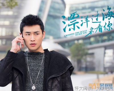 《漂洋过海来看你》读后感摘抄