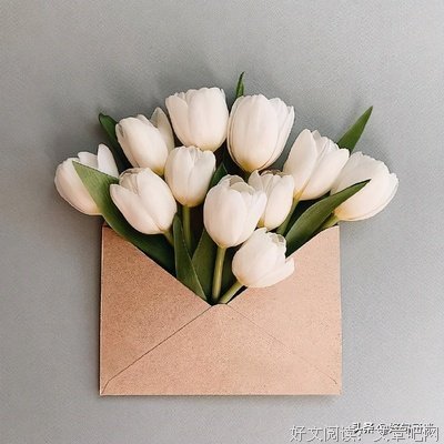 简单粗暴的句子