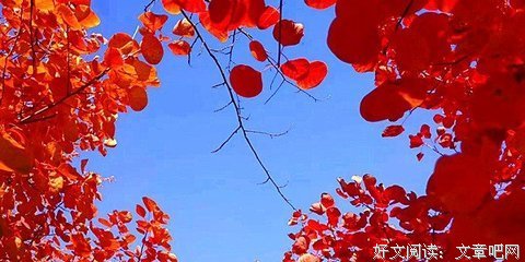 火红绚烂的岁月经典的句子