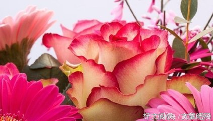 关于无果的句子