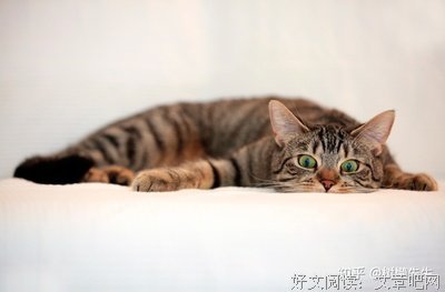 关于海明威的句子