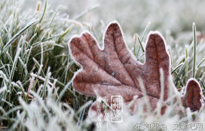 曾经的那片天句子大全