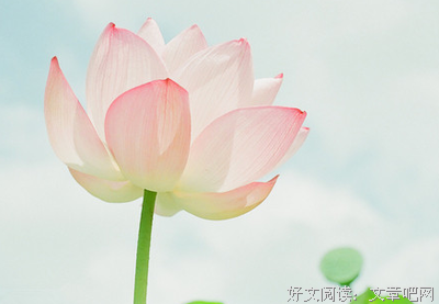 美，仅此的句子