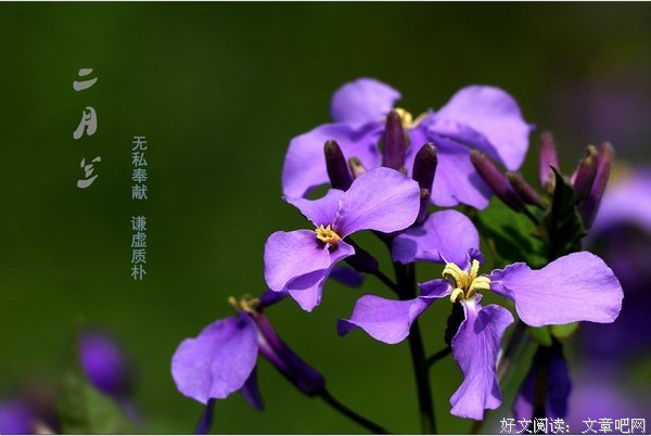 兰大大经典的句子