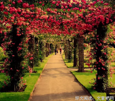 苏菲的世界的优美句子