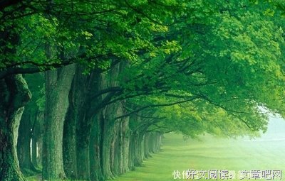 忧伤句子