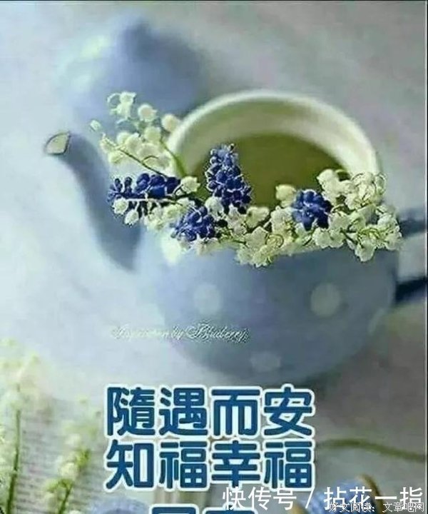 美丽的句子