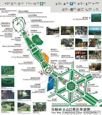 《北京林业大学校园植物导览手册》读后感100字