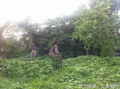 《掌故（第一集）》读后感1000字