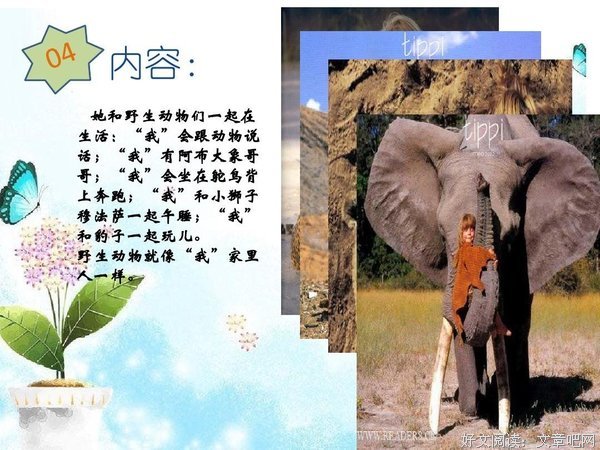 《豹》读后感锦集