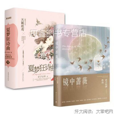 镜中蔷薇经典读后感有感