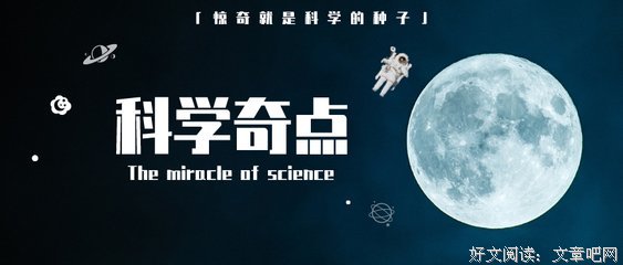 《我们都是食人族》读后感锦集