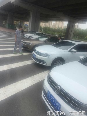 《婚礼的成员》读后感摘抄