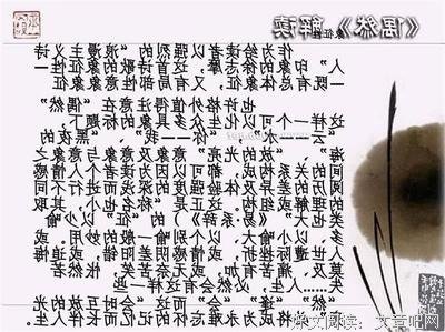 《张幼仪传》读后感100字