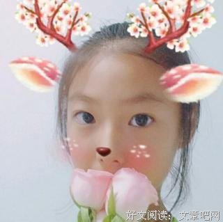《我只能短暂地陪你过一生》读后感精选