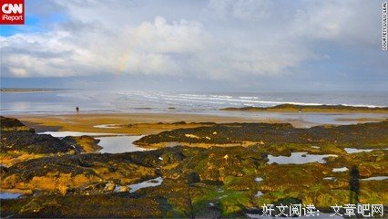 大牧场上的凯特读后感锦集