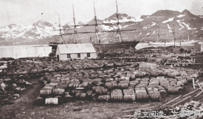假如海洋空荡荡读后感100字