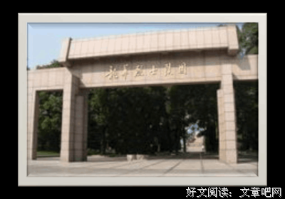 《Angora Ranch》观后感100字