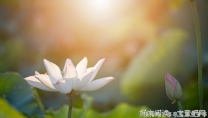 人心不古的语句摘抄_关于人心不古的语句