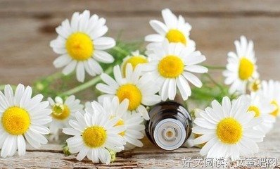 关于我心仍在的句子