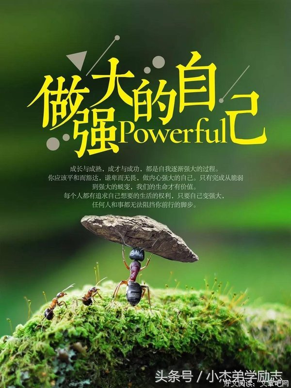 学会懂得句子大全