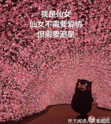 关于追星的优美句子