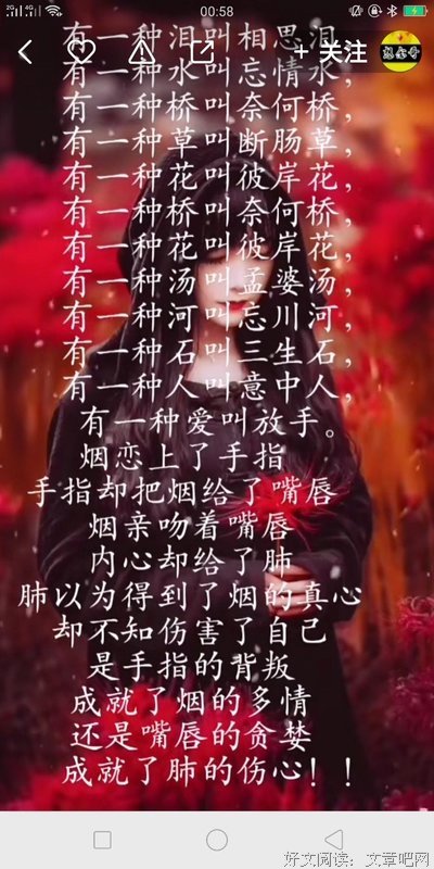 心录的句子
