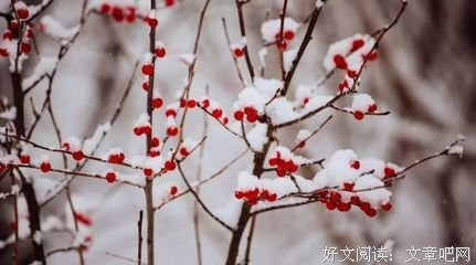 用我一生，换你十年天真无邪好词好句