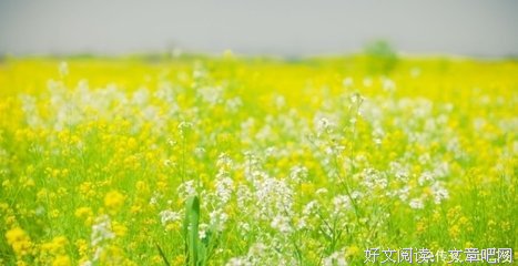 随意经典的句子
