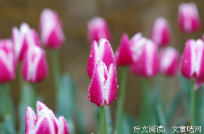 《曾仰望过》的句子