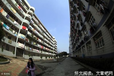 江西科技学院三行情诗