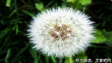  角落里的句子