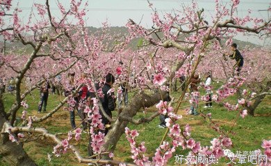 只因喜欢你句子大全