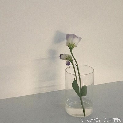 加速！句子大全