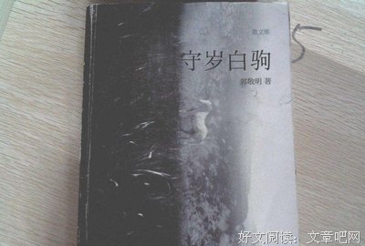 青春，大老师的优美句子
