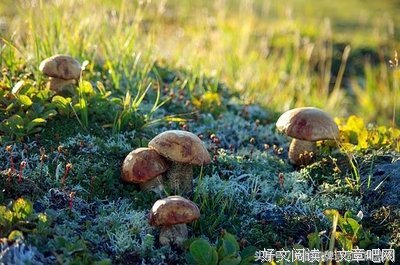潇潇潇潇如名言大全