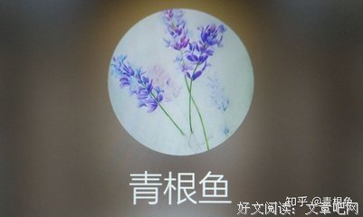 最新的《活在想象》经典的句子大全