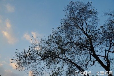 《海滨墓园》佳句摘抄