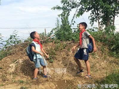《我的小尾巴》的观后感大全