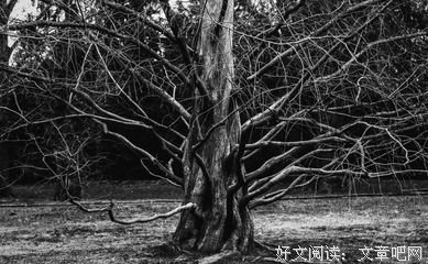 《抑郁症》经典读后感有感