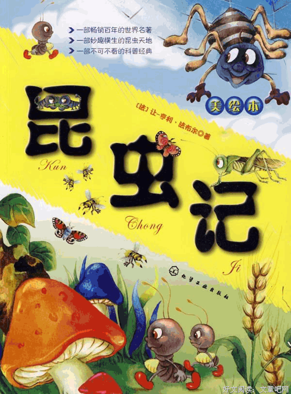 《TED1小时科普：给孩子的世界启蒙书》读后感100字