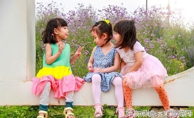 《王子与公主：芭蕾舞剧视觉大发现》的读后感大全